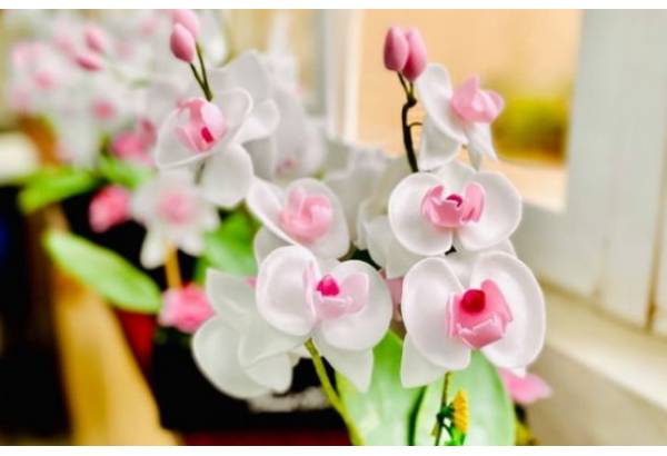皂花師資班