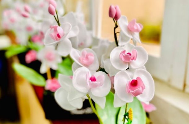 皂花